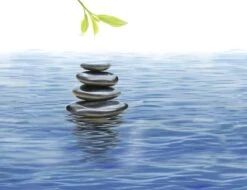 Kneipp Me-Time - Douche Foam -Winkel Voor Persoonlijke Verzorging 1200x921 3