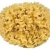 Natuur Spons Voor Het Lichaam - 10 Cm 2 Natuur Spons Voor Het Lichaam - 10 Cm -Winkel Voor Persoonlijke Verzorging 1200x977 1