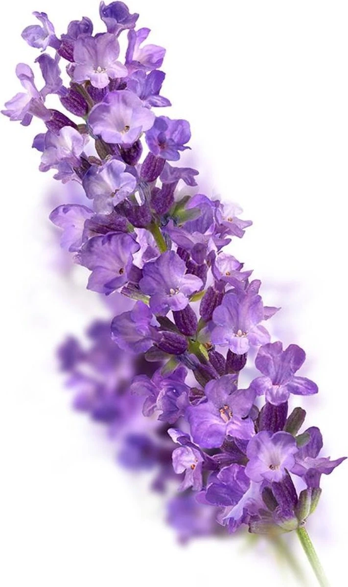 Kneipp Relaxing - Badkristallen 9 Kneipp Relaxing - Badkristallen - Afbeelding 7