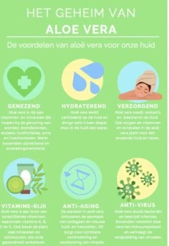 Aloeveco - Hydraterende Gel Van Aloe Vera - Genezende Huidverzorging - 99% Puur - Organic - 250 Ml 10 Aloeveco - Hydraterende Gel Van Aloe Vera - Genezende Huidverzorging - 99% Puur - Organic - 250 Ml -Winkel Voor Persoonlijke Verzorging 826x1200 1