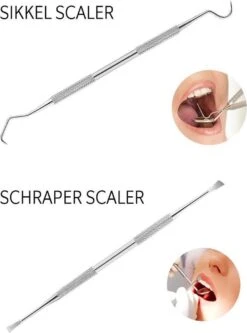 Newide Professionele Tandarts Set Met Luxe Etui – Tandsteen Verwijderaar – RVS Tandarts Setje – Tandenstokers – Tandartshaakje – Tand Verzorging Gereedschap Set – Tandplak Verwijderaar -Winkel Voor Persoonlijke Verzorging 889x1200