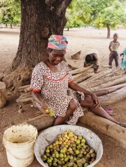 Whipped Unrefined Shea Butter - Biologisch Opgeklopte Ongeraffineerd Sheaboter Sheabutter 500 Ml 8 Whipped Unrefined Shea Butter - Biologisch Opgeklopte Ongeraffineerd Sheaboter Sheabutter 500 Ml -Winkel Voor Persoonlijke Verzorging 911x1200