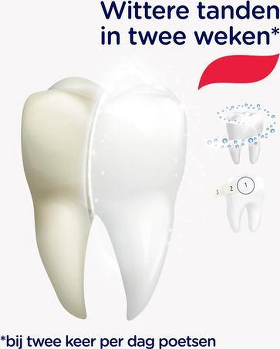 Prodent Whitening System Tandpasta - 12 X 75 Ml - Voordeelverpakking 10 Prodent Whitening System Tandpasta - 12 X 75 Ml - Voordeelverpakking - Afbeelding 8