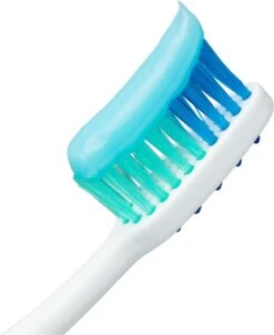 Meridol Tandenborstel Zacht - 3 Stuks - Voordeelverpakking 19 Meridol Tandenborstel Zacht - 3 Stuks - Voordeelverpakking -Winkel Voor Persoonlijke Verzorging 982x1200 2